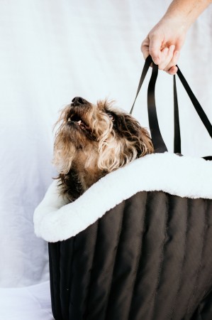 Premium Dog Carrying Bag (White)